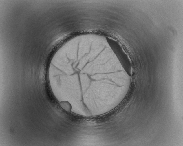 X0000116550640201001071116