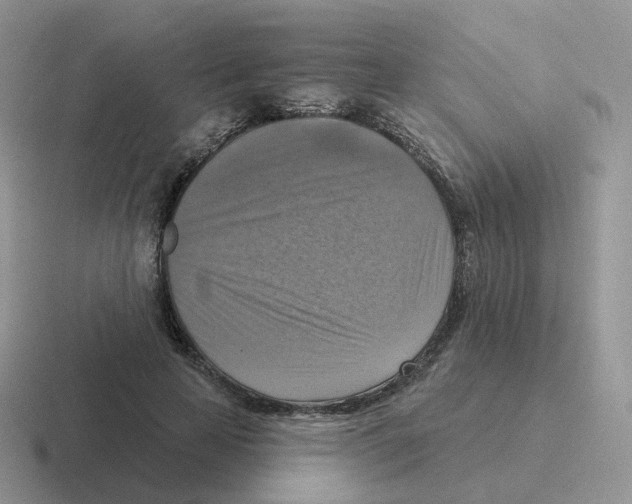 X0000116550641201001071116