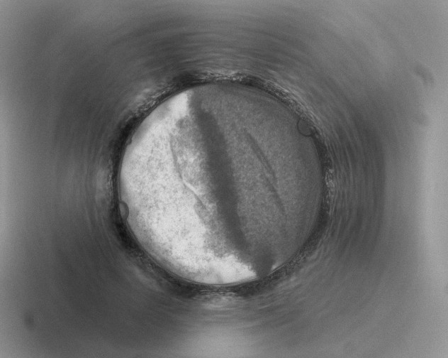 X0000116550642201001071116