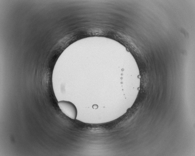 X0000116550645201001071116