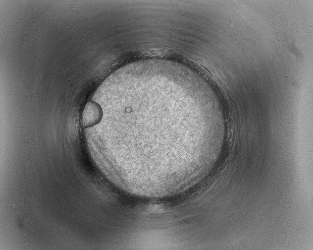 X0000116550647201001071117