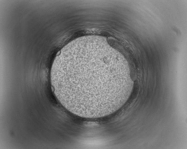 X0000116550649201001071117