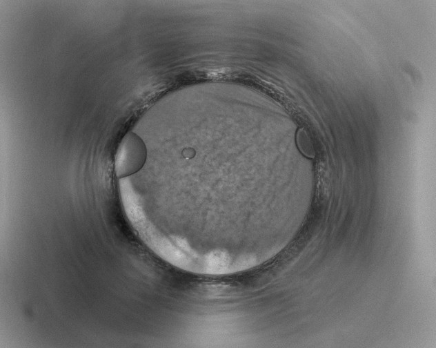 X0000116550650201001071117