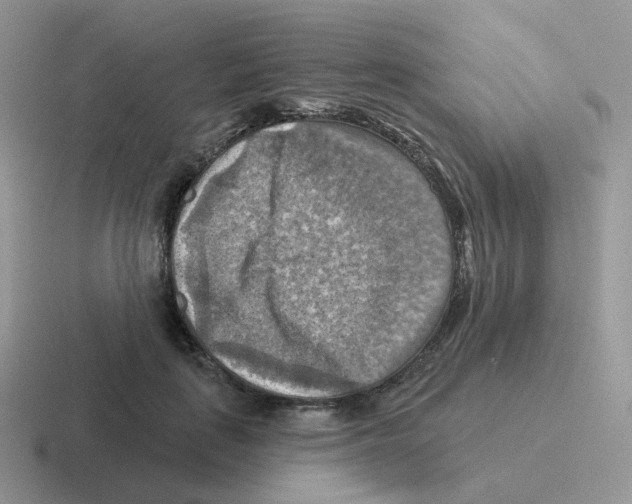 X0000116550651201001071117