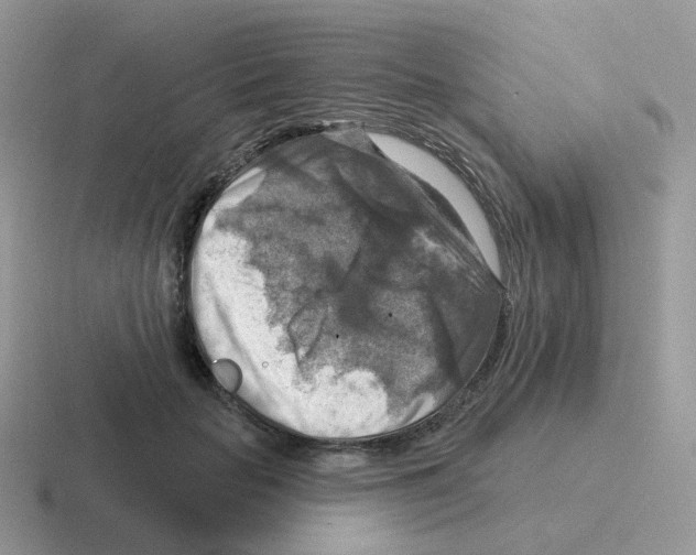 X0000116550653201001071117