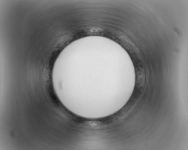 X0000116550654201001071117