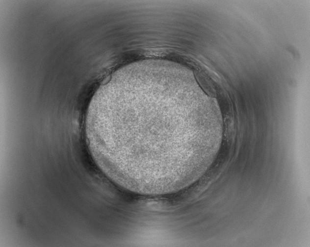 X0000116550655201001071117