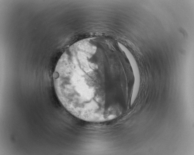 X0000116550661201001071117