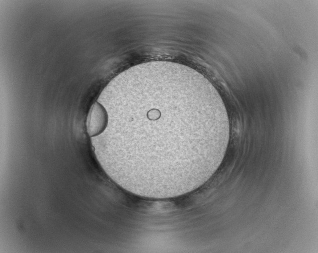 X0000116550663201001071117