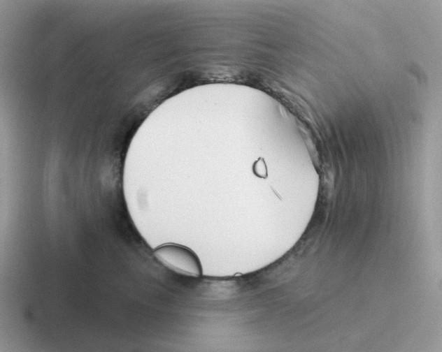 X0000116550665201001071117