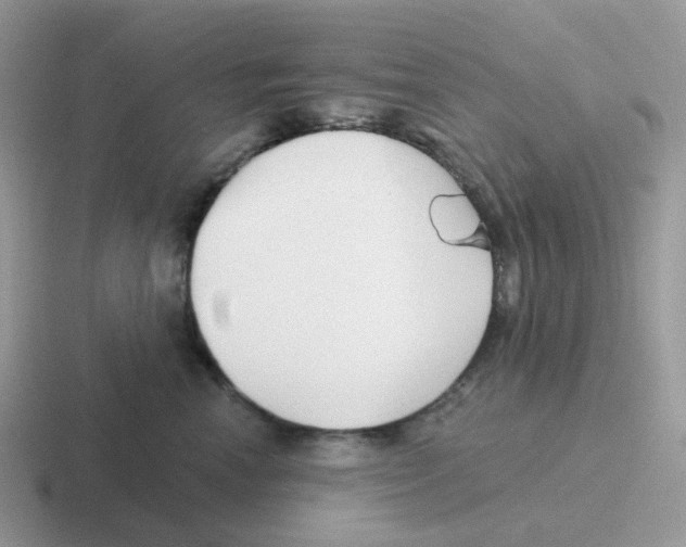 X0000116550666201001071117