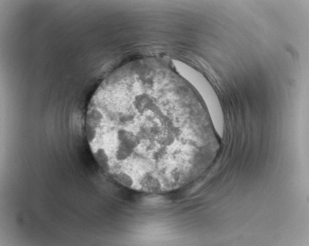 X0000116550669201001071117