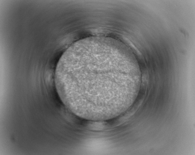 X0000116550671201001071117