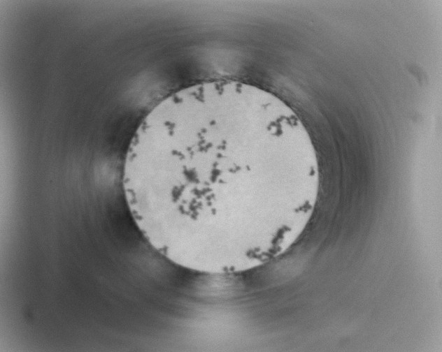 X0000116550672201001071117