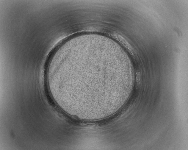 X0000116550676201001071116