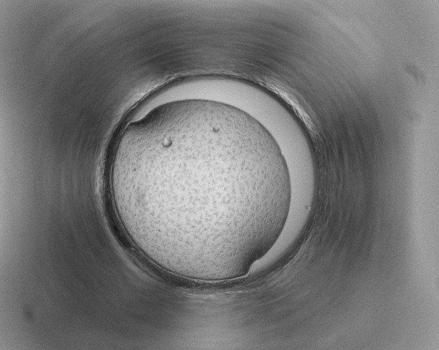 X0000116550677201001071116