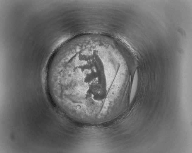 X0000116550679201001071116