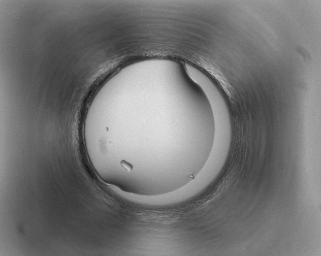 X0000116550681201001071116