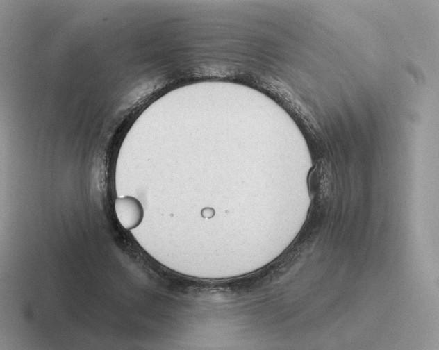 X0000116550683201001071116