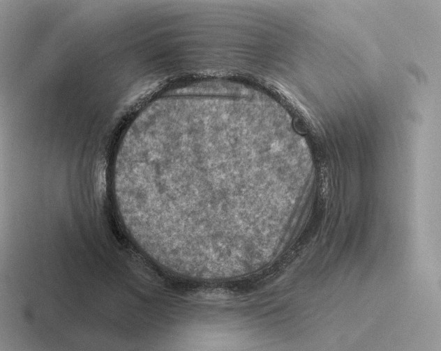 X0000116550685201001071116