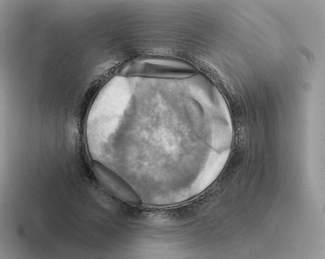 X0000116550688201001071116