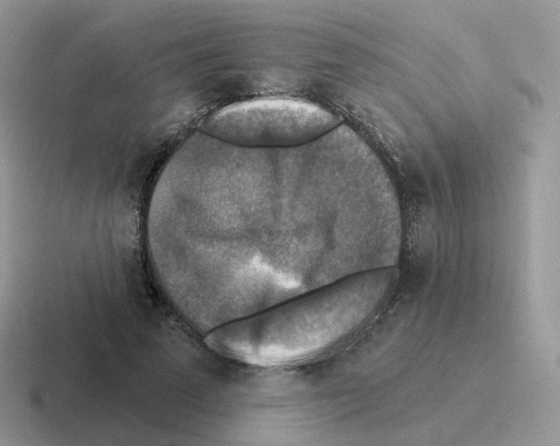 X0000116550689201001071116