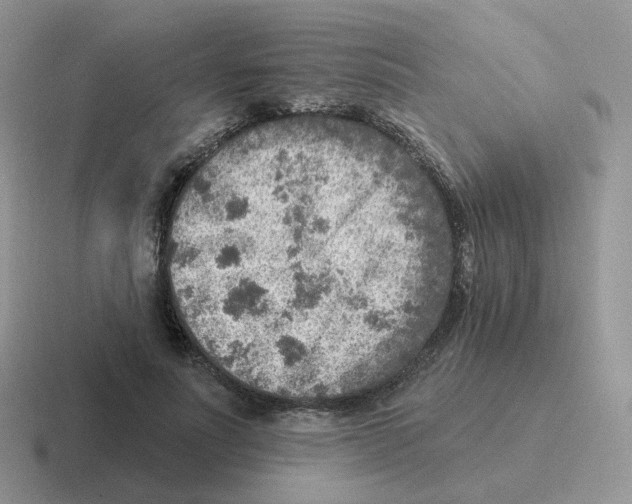 X0000116550691201001071116