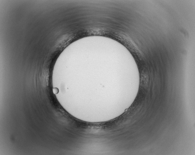 X0000116550694201001071116