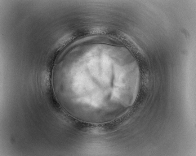 X0000116550696201001071116