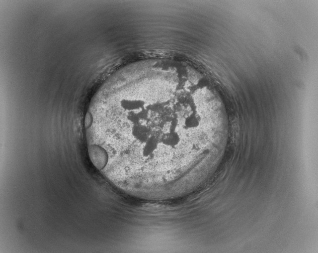 X0000116550699201001071116