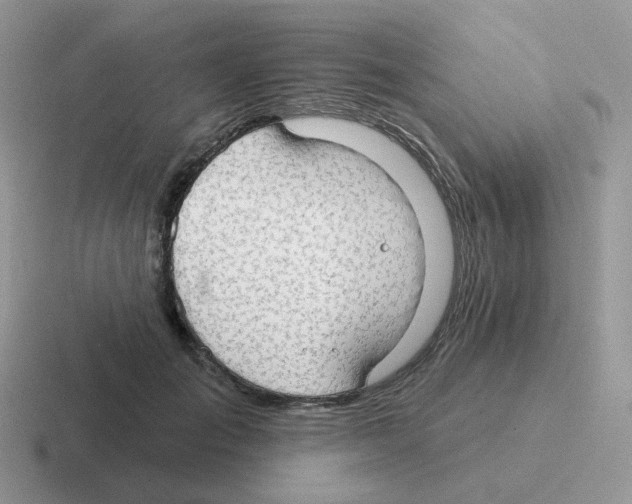 X0000116550701201001071116