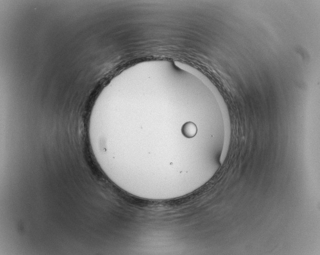 X0000116550704201001071116