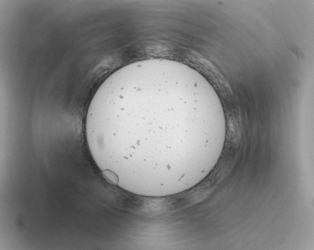 X0000116550705201001071116