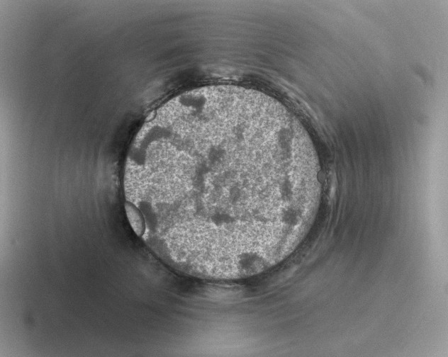 X0000116550707201001071116