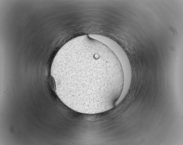 X0000116550709201001071116