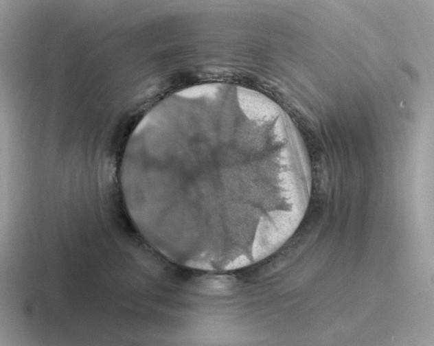 X0000116550711201001071116