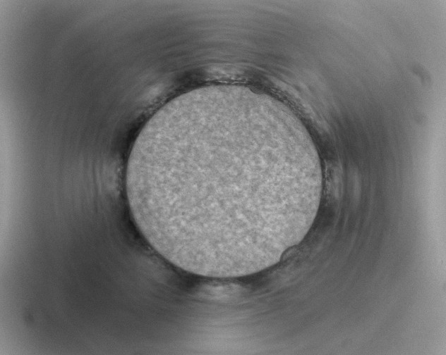 X0000116550712201001071116