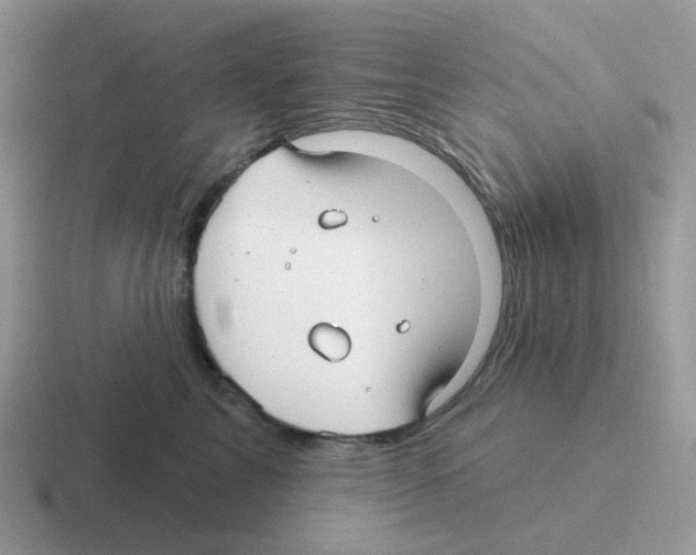 X0000116550713201001071116