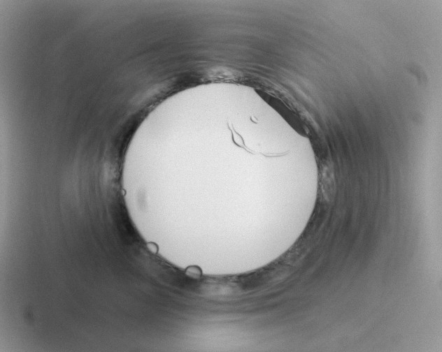 X0000116550714201001071116