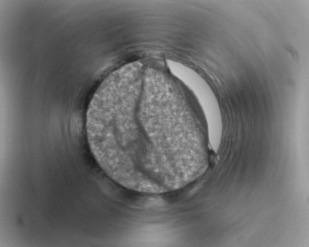 X0000116550715201001071116