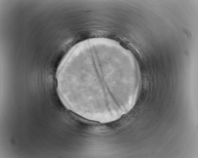 X0000116550716201001071116