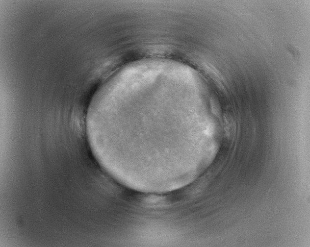 X0000116550718201001071116