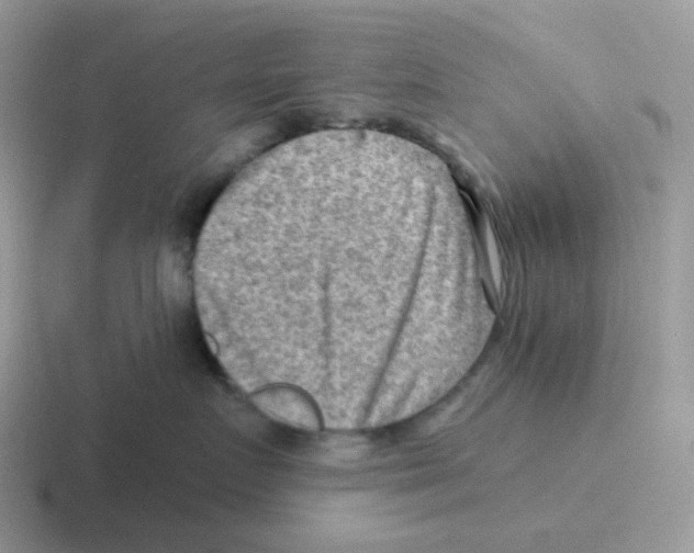 X0000116550719201001071116