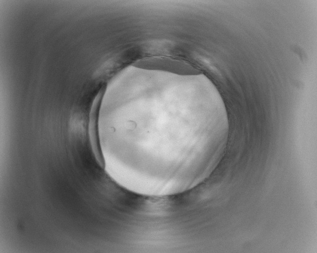 X0000116550720201001071116