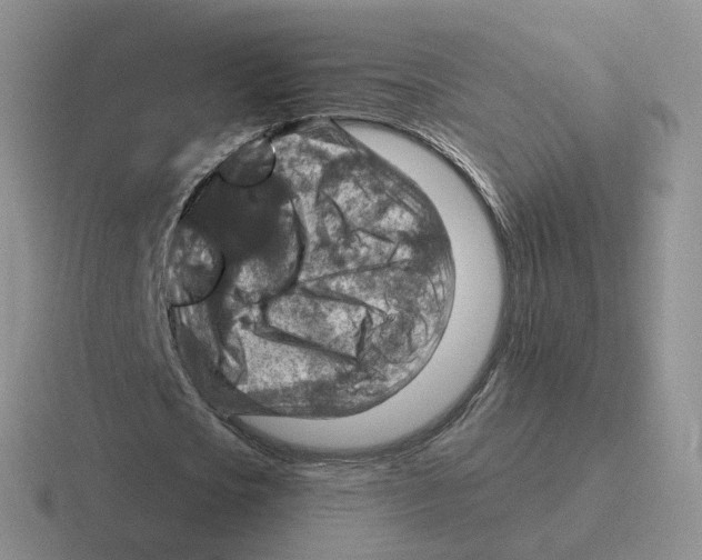 X0000116550721201001071115