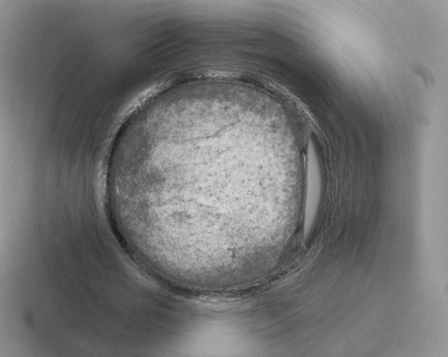 X0000116550725201001071115