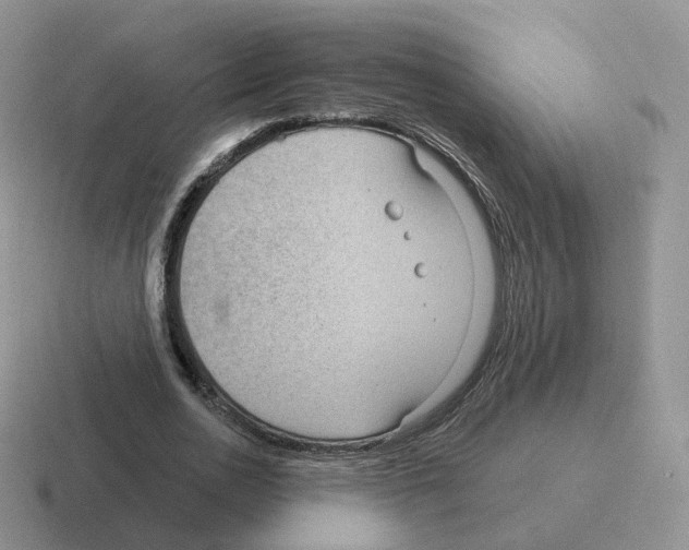 X0000116550726201001071115