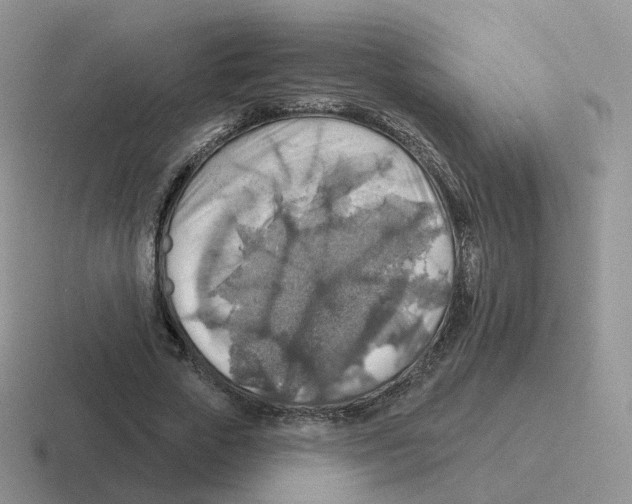 X0000116550729201001071115