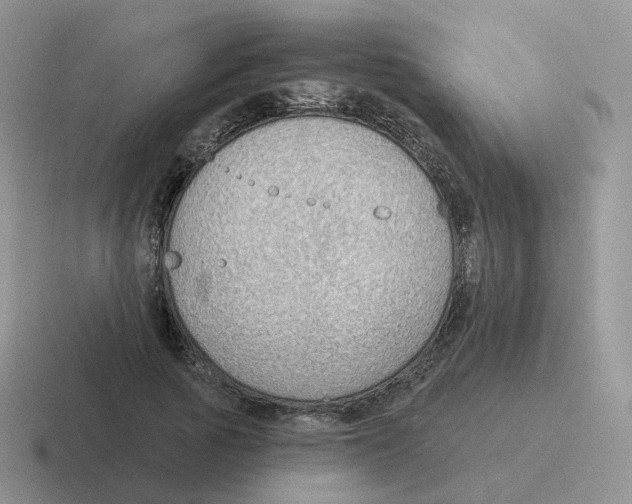 X0000116550737201001071115