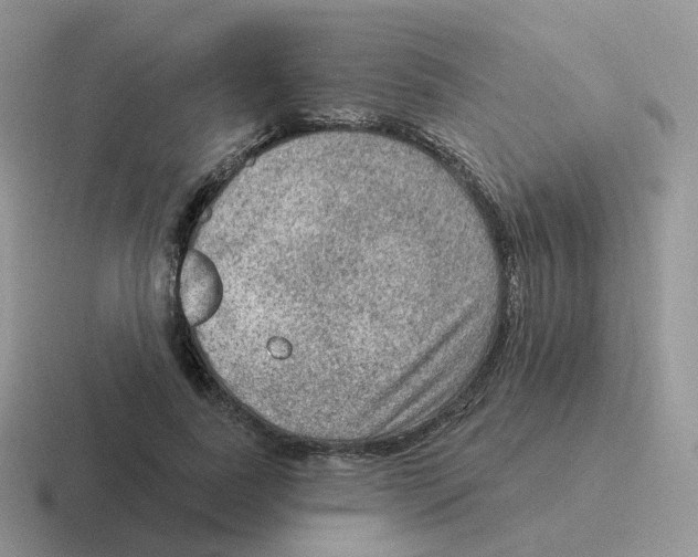 X0000116550739201001071115